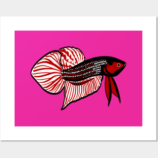 WILD BETTA CONTEST Posters and Art